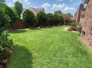 Deidre T.'s turf care service result