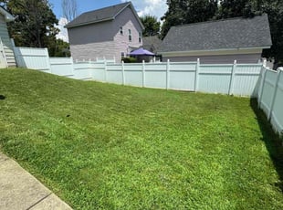 Carine C.'s grass maintenance service result