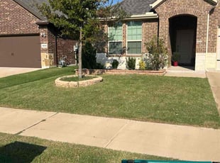 Anna L.'s Bush Trimming service result