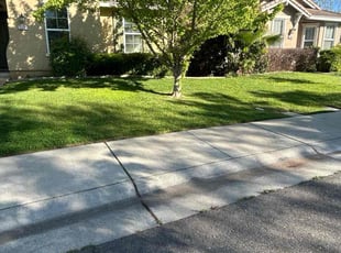 Sarah H.'s grass cutting service result