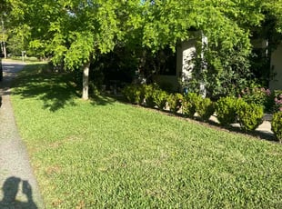 Peter B.'s lawn maintenance service result