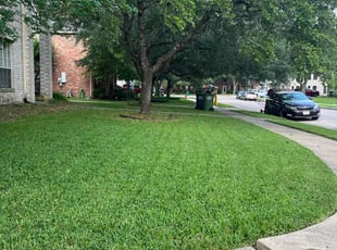 Jordan H.'s turf care service result