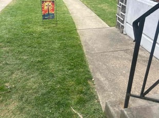 Randy S.'s lawn care service result