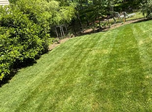 Tommie D.'s grass cutting service result