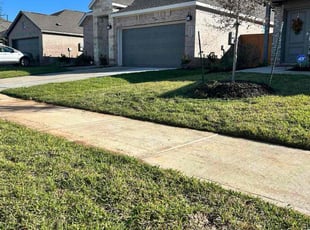 Judy M.'s grass maintenance service result