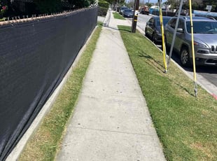 Gladys B.'s turf maintenance service result