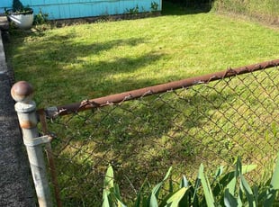 Elizabeth B.'s lawn care service result