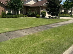 Scott T.'s lawn service service result