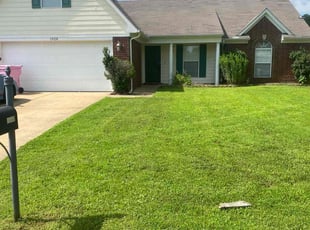 Eli G.'s turf care service result