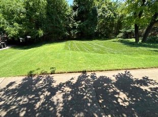 Andy C.'s turf care service result