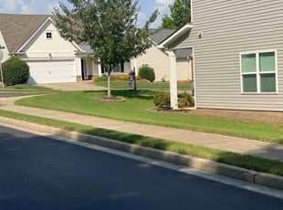 Monica G.'s turf care service result