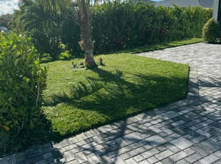 Janet Z.'s lawn maintenance service result