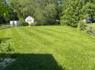 John S.'s grass maintenance service result