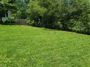 Debbie L.'s lawn service service result