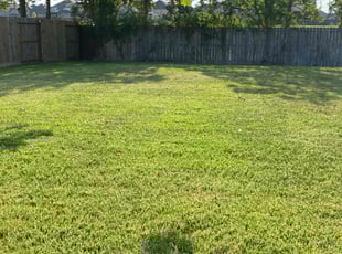 Elizabeth D.'s lawn care services service result