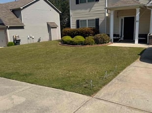 Michael P.'s lawn maintenance service result