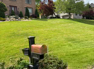 Jocelyn J.'s turf maintenance service result