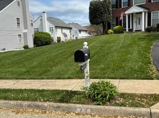Lisa L.'s lawn service service result