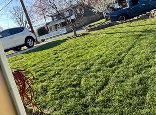 Christopher Y.'s turf maintenance service result