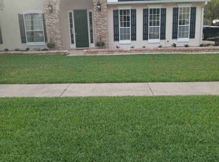 Steven S.'s lawn care service result