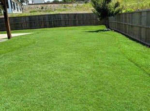 Jill B.'s lawn care service result