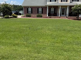 Laura S.'s grass maintenance service result