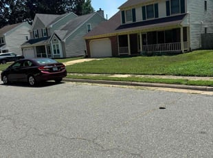 Susan P.'s turf care service result