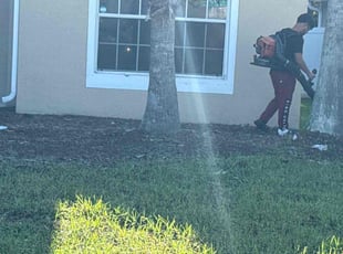 Abby S.'s Flower Bed Weeding service result