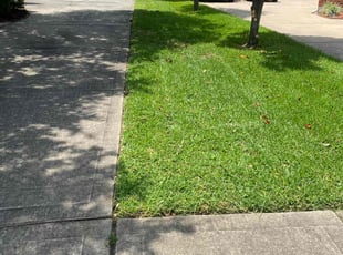 Cynthia B.'s lawn service service result