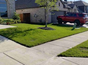 Veronica W.'s lawn service service result
