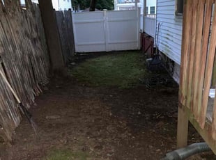 Nicole S.'s Cleanups service result