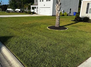 Lure A.'s lawn service service result
