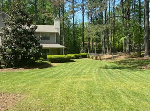 Ida R.'s lawn maintenance service result