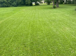 Mark S.'s lawn service service result