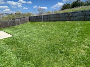 Matt H.'s lawn service service result