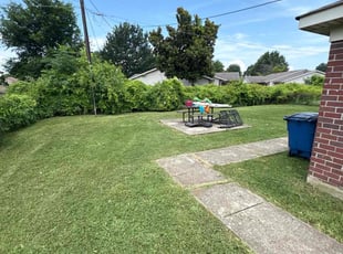 Steve M.'s grass maintenance service result