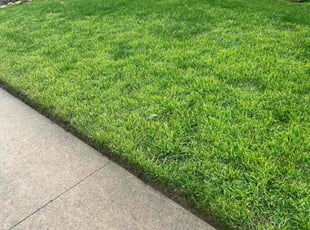 Rayner H.'s lawn care services service result