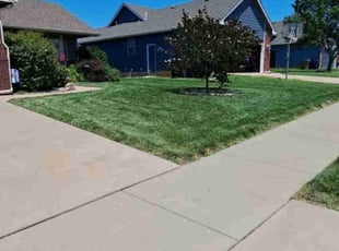 Nick S.'s grass cutting service result