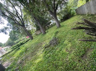 Kristen H.'s turf care service result