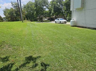 Clara C.'s lawn service service result