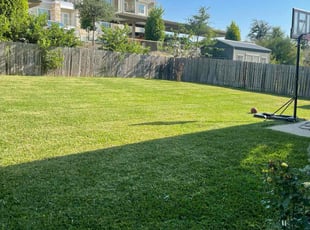 Joann Y.'s lawn care service result