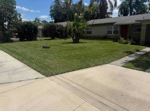 Grace S.'s grass cutting service result
