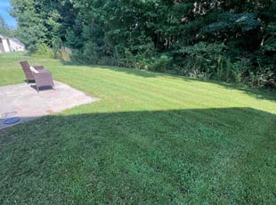 Joyce G.'s grass maintenance service result