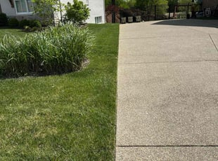 Earlean S.'s lawn care service result