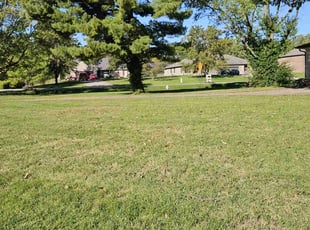 Melissa V.'s lawn care service result