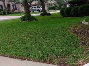 Cecily B.'s grass cutting service result