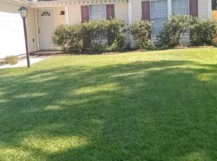 Corey D.'s grass maintenance service result