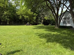 Phyllis H.'s lawn care service result