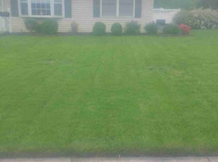 Matthew A.'s lawn service service result