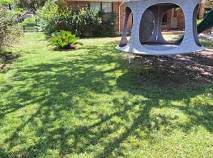 Vernon H.'s grass maintenance service result